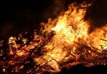 В Пензенской области было потушено 42 лесных пожара