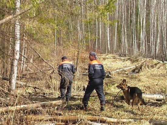 В Зырянском районе под Томском нашли пропавшего в лесу мужчину