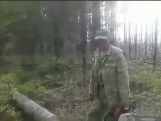 В Бурятии главного лесничего поймали на рубке дров