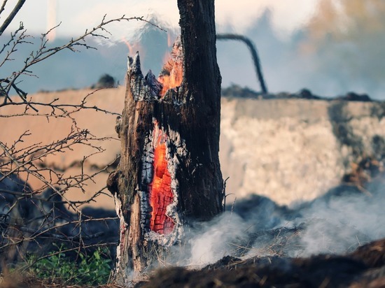 В Пензенской области за сутки потушили три пожара