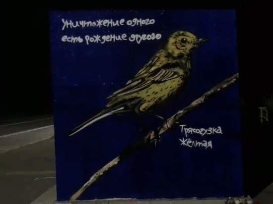 На месте закрашенной птички в Южно-Сахалинске художник нарисовал новую