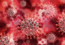 «Гамма»-мутация коронавируса заразна на 60% у привитых от COVID-19