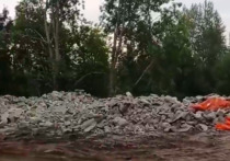 Неизвестные завалили мусором пустырь за улицей Тагильской, 51С в Новосибирске