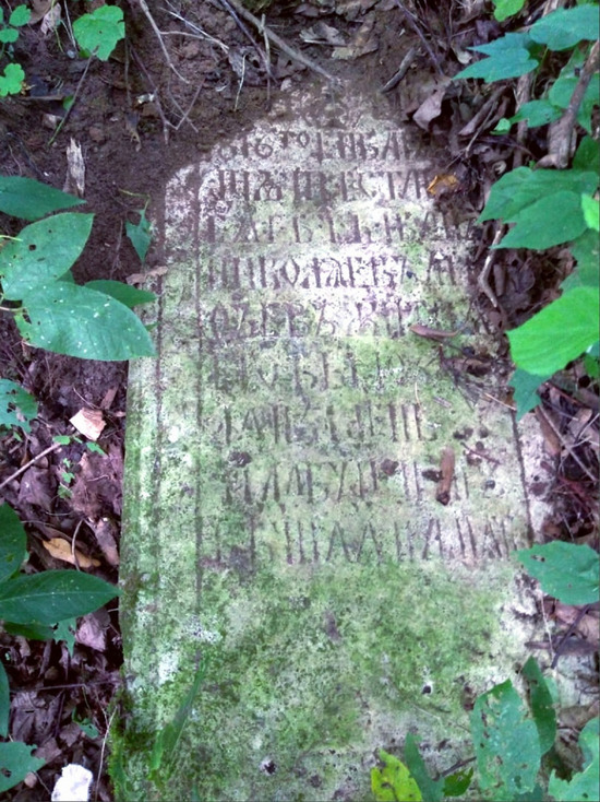 В Твери на старом кладбище нашли могилу бывшего главы города