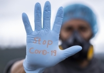 В Красноярском крае за сутки на 25 июля выявили 484 новых случая заражения COVID-19
