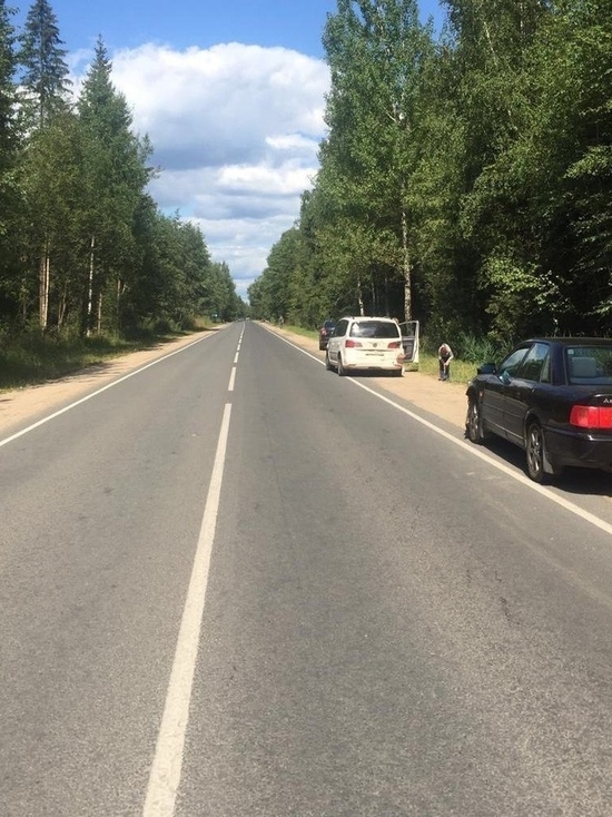 Две немецкие иномарки столкнулись в Тверской области