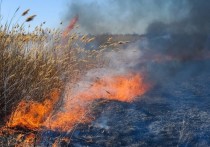 МЧС: три пожароопасных днях ждут Волгоградскую область