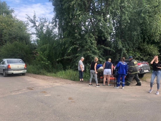 В Твери водитель врезался в дерево и получил ряд травм