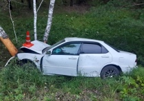 В Новосибирской области 26 июля случилось смертельное ДТП, в котором погиб водитель Honda Torneo, ранее лишенный водительских прав за отказ от медосвидетельствования