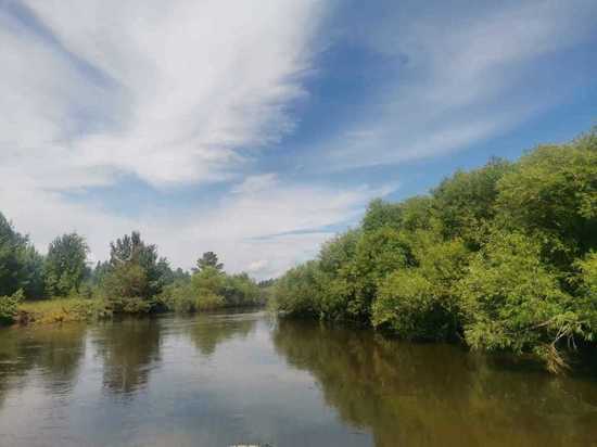 Вода затопила пойму реки у Шишкино и Бургени под Читой