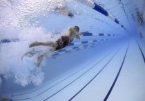 В эстафете 4х100 метров вольным стилем на Олимпиаде в Токио золотые медали завоевала мужская сборная США по плаванию