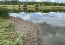 В минувшие выходные отдыхающих на пруду Полторы в Щекинском районе Тульской области стало меньше: погода была нежаркой, а вода после порыва дамбы ушла от берегов на два метра. 