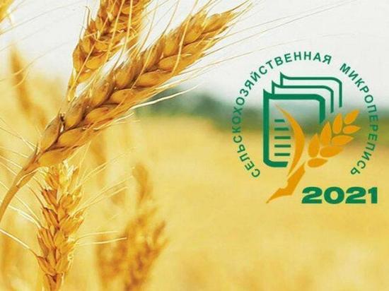 Производители Серпухова примут участие в сельскохозяйственной микропереписи