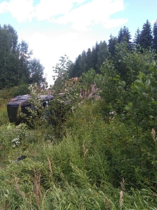 Молодая девушка без прав попала в аварию в Тверской области
