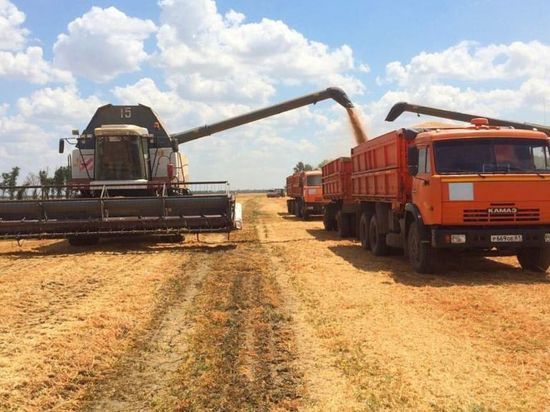 В Калмыкии намолотили уже 450 тысяч тонн зерна