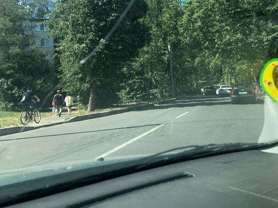 Рухнувшее дерево перекрыло улицу в Великом Новгороде
