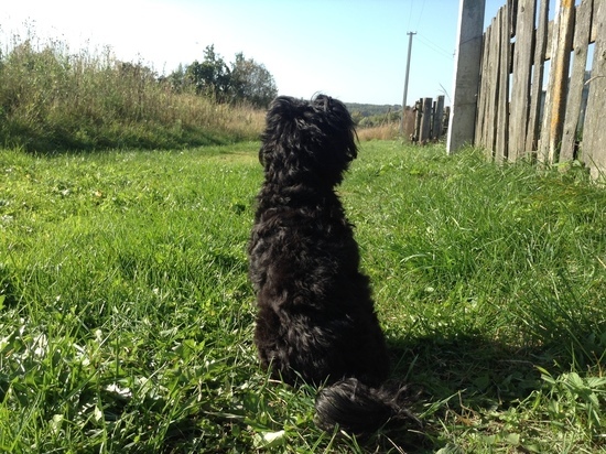 8091 смолянин остается под наблюдением по коронавирусу