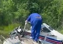 Работа аэродрома «Калинка» в Хабаровском районе Хабаровского края, рядом с которым разбился легкомоторный самолет, приостановлена