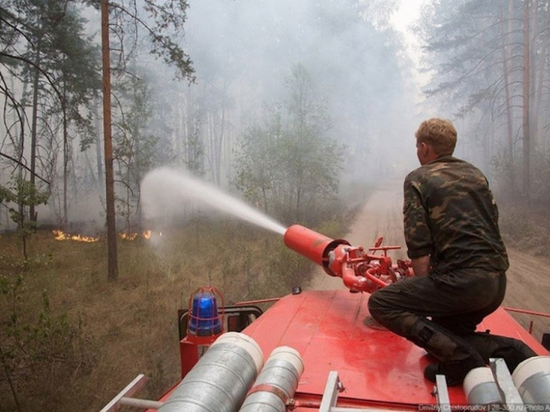 В Хабаровском крае тушат пять из одиннадцати лесных пожаров