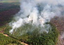 В лесах Приангарья за сутки потушили шесть пожаров