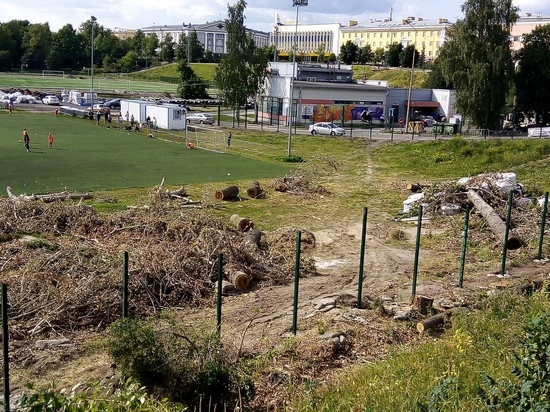 Тополя у стадиона "Юность" в Петрозаводске спилили, но не убрали