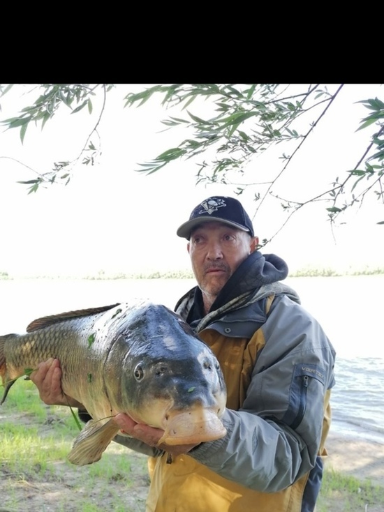 В Омской области мужчина выловил гигантскую рыбу весом 15,5 килограмм
