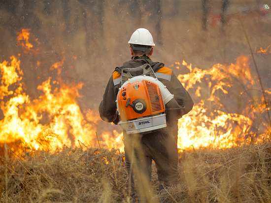 Особый противопожарный режим введен в ряде районов Приморья