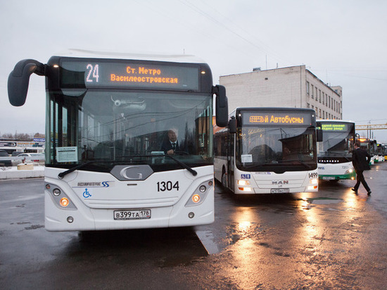 Перевозчикам Петербурга раскрыли полный перечень автобусных маршрутов транспортной реформы