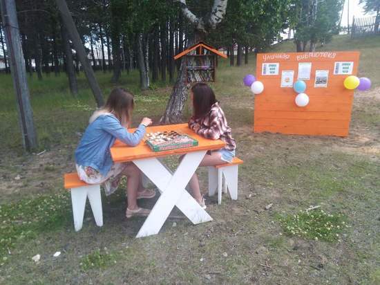  В Байкальском селе Гремячинск в Бурятии открыли уличную библиотеку в виде скворечника