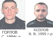 В Новосибирске до сих пор продолжаются поиски Виталия Козлова и Александра Горлова, которые 12 июля сбежали из колонии-поселения на правом берегу города