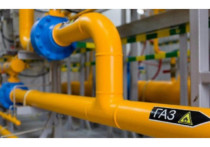 В Новосибирской области с 26 июля начался приём заявок на заключение договоров для догазификации, которую в регионе проводит единый оператор газификации – компания ООО «Газпром газораспределение Томск»