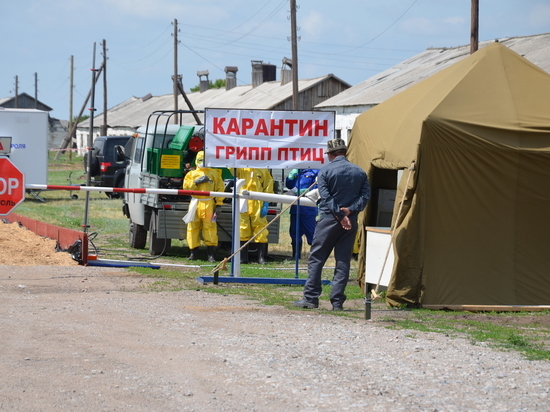 Сотрудники КГБУ «Управление ветеринарии по Завьяловскому району» рассказали о своей профессии