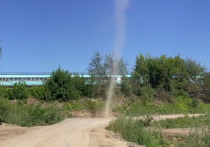 В Новосибирске на территории будущего парка возле ЛДС был смерч