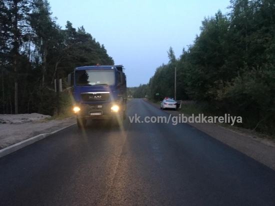 В Карелии в ДТП погиб ребенок-пешеход