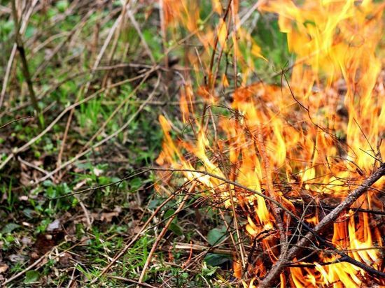 Пожар охватил леса Курортного района Петербурга