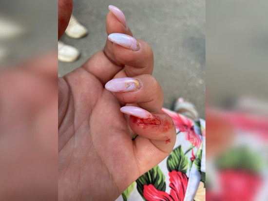 Выдернула ноготь, порвала платье: две женщины подрались на детской площадке в Мурино