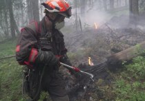 За минувшие сутки экстренными службами в Томской области были ликвидированы сразу три лесных пожара