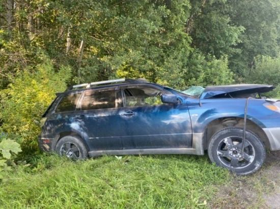Водитель Mitsubishi разбился насмерть после столкновения с большегрузом в Томском районе