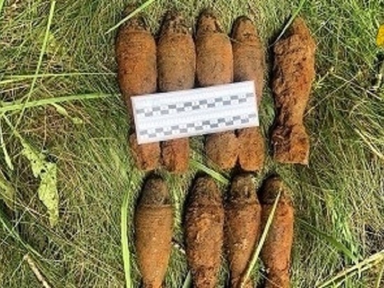 В Тверской области нашли ещё девять боеприпасов времён войны