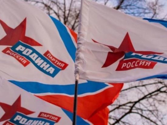 Партия «Родина» выдвинула всех кандидатов на выборы в ЗакС Петербурга