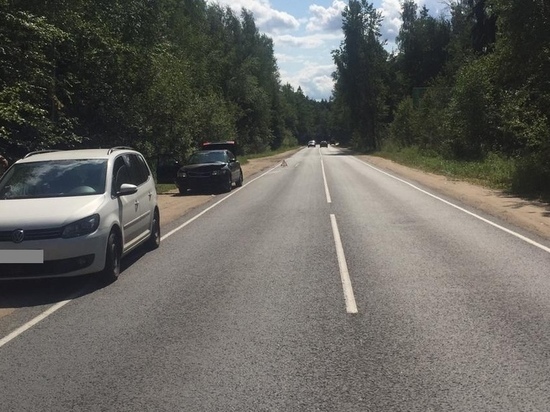 В Тверской области пенсионер на «Audi» потерял сознание и врезался в попутку