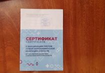 В пресс-службе Роскомнадзора рассказали о количестве заблокированных или удаленных сообщений с объявлениями о продаже поддельных сертификатов о вакцинации от коронавирусной инфекции