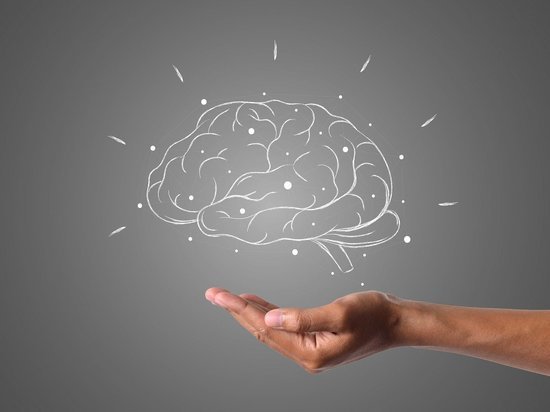 Диетологи назвали пять лучших продуктов для мозга