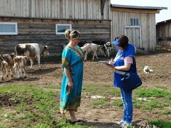 1 августа в Костромской области начнется сельскохозяйственная микро-перепись