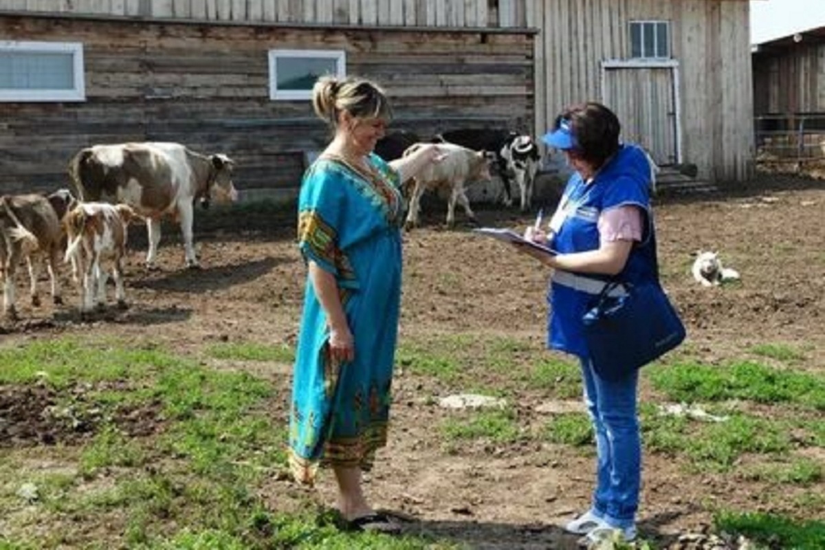 1 августа в Костромской области начнется сельскохозяйственная микро-перепись