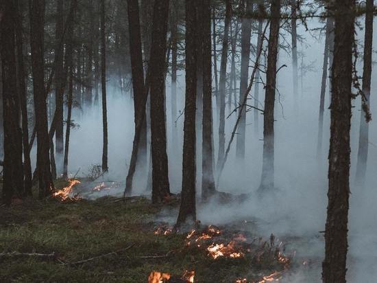 В Хайбуллинском районе Башкирии горят три гектара леса