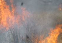 Омские власти отменили противопожарный режим повышенной готовности