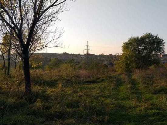 Взамен погибшим: в Хабаровске посадят 300 деревьев