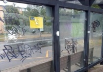 От рук хулиганов пострадал автобусная остановка возле стадиона «Труд»