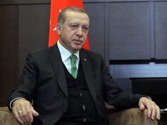 Эрдоган заявил о мобилизации всех сил на борьбу с пожарами